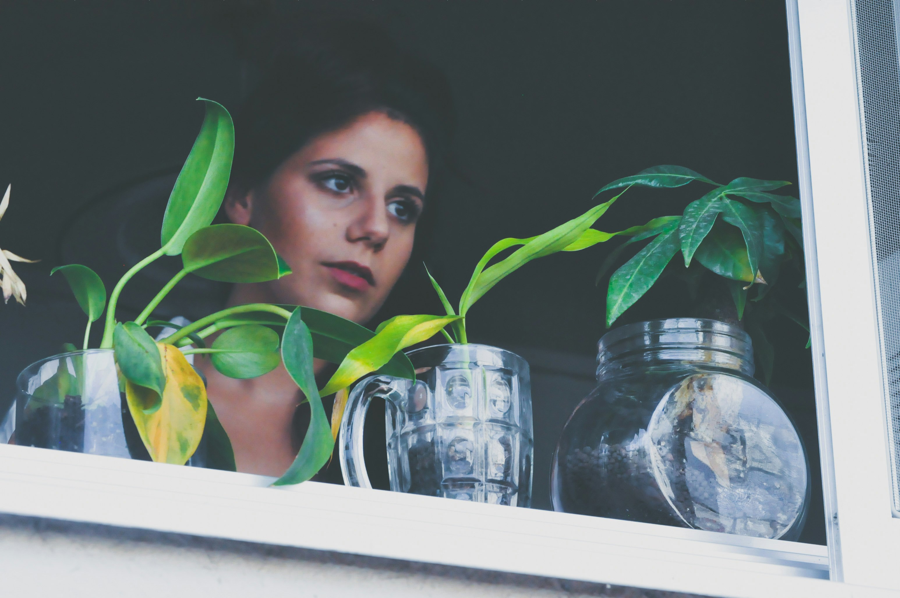 woman standing on near windowpane with glass flower vases